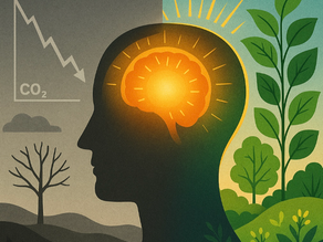 The Forecast Calls for Denial