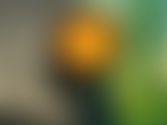 The Forecast Calls for Denial