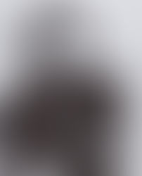 Hannah Arendt e o preço da lucidez