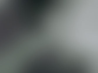 Opinião Política: Profetas do Caos via Internet