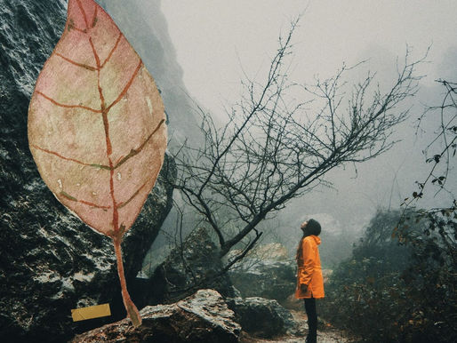 Eu te desafio! Sim, você mesmo!