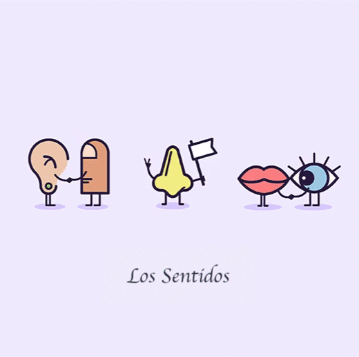 organos-de-los-sentidos-1.gif