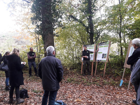 Einladung öffentlicher Waldumgang