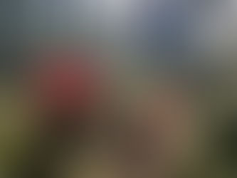 Saisonstart Holzerei 2024/25