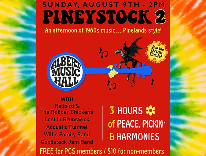Pineystock 2 flyer advertising 1960s themed event on August 9th