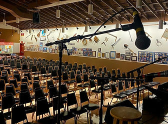 View of empty Albert Hall from the stage