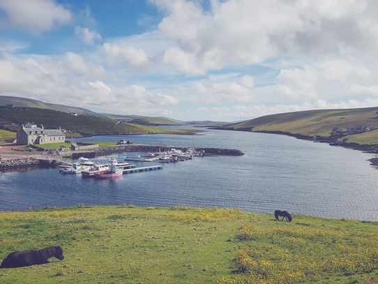 Budget accommodation available in Shetland