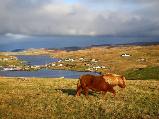 Shetland winter light