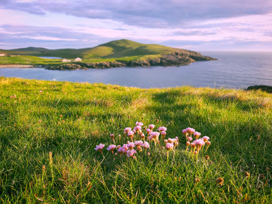 Shetland's midnight light