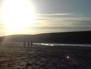 A hint of spring in Shetland