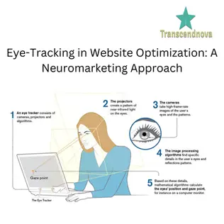 Eye-Tracking in Website Optimization: A Neuromarketing Approach
