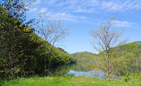 DSC00939_edited.jpg