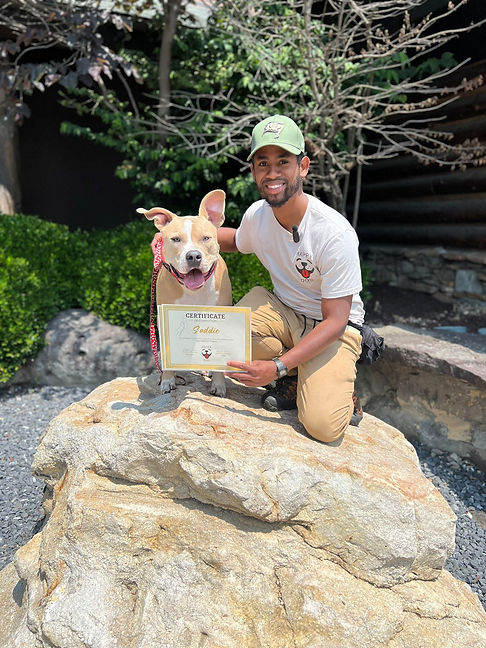 WhatsApp Image 2023-05-23 at 9.31.39 PM.jpeg