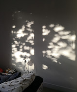 IMG_20200421_164440.jpg
