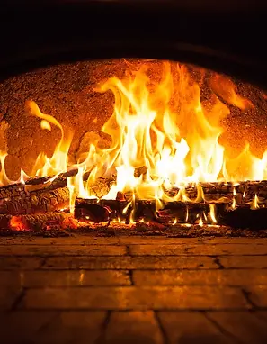 SECTION 3 B - UDS CARVAO - Qualified and well-trained professionals - Profissionais capaci