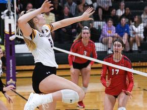 UAlbany Volleyball Falls in America East Opener at New Hampshire 3-1