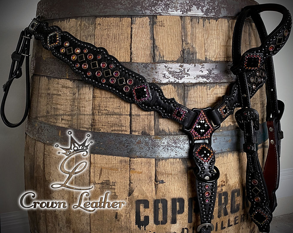 Thumbnail: Black Elephant & Crystal Volcano Tack Set