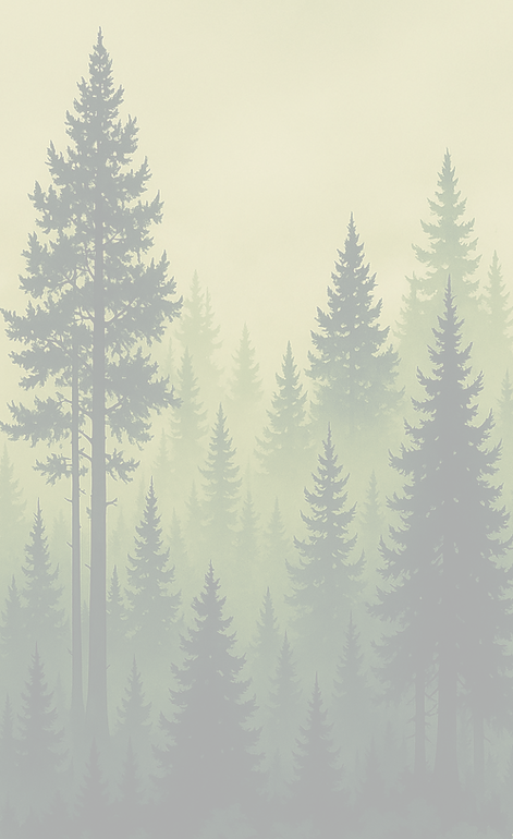 Foret Société tir 300m Sauthaux