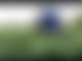 Charles Jr announces 'grow smart, eat smart’ strategy to boost Jamaica's food security