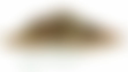 Le verdure disidratate Biopur, consigli per l'uso