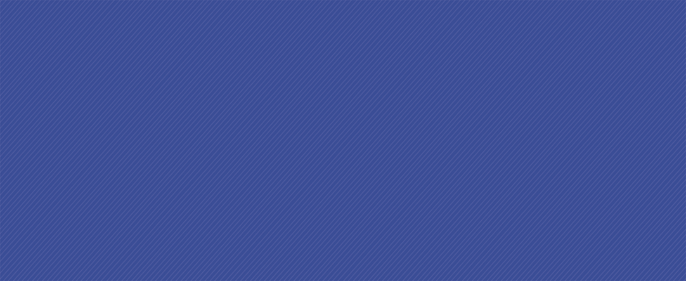 EBB_Flower_Line_Texture_Navy-01.png