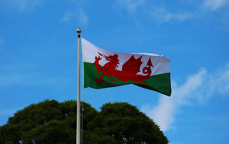 terimakasih0-welsh-flag-2412265.jpg