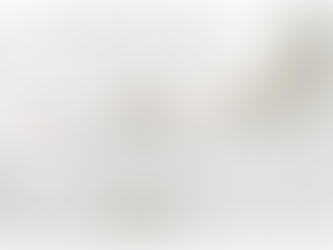 2024 Rural Roadside, Urban Boulevard and Expressway Grass Cutting programs: April 15, 2024 – October 30, 2024