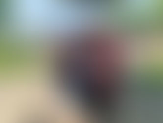 Mark in the Park: A Solid Start at Kopperfield