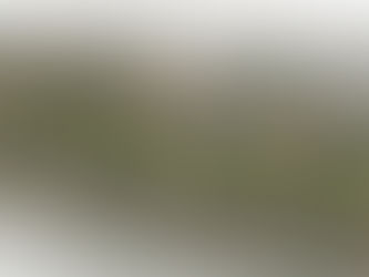 INFRASTRUCTURE: Dickenson Road Project Update