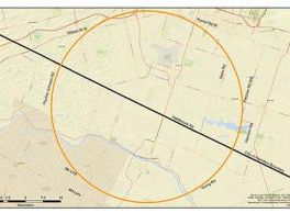 City of Hamilton Investigates Rabid Cat