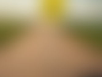 Dickenson FULL Closure Locations