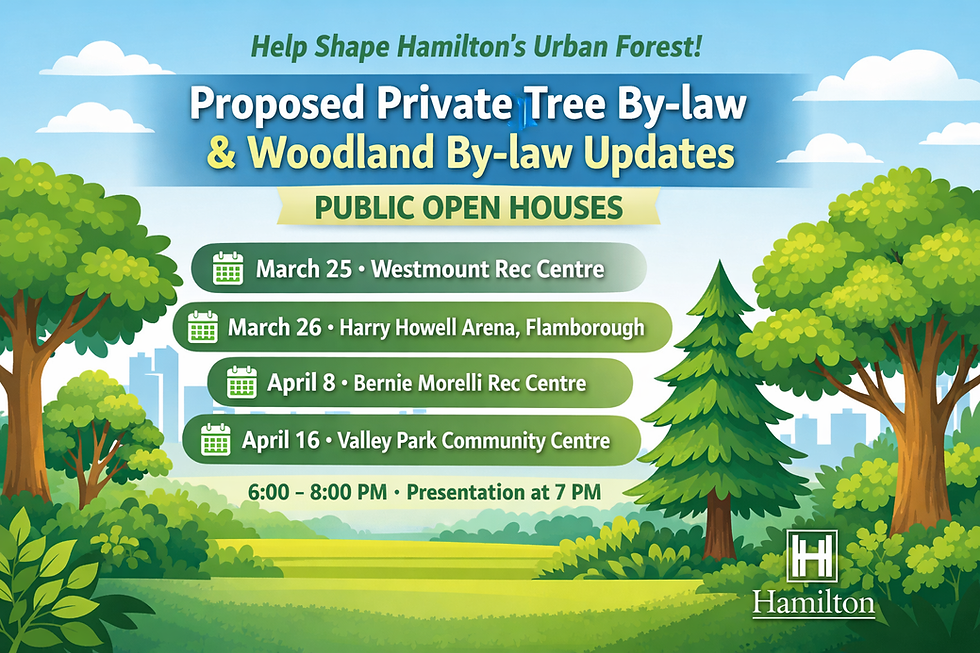 City Seeking Feedback on Proposed Private Tree By-law and Woodland By-law Updates