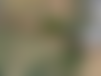 ASPHALT SPREADER PROGRAM - AIRPORT ROAD