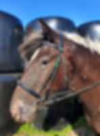 Thumbnail: MINNIE
