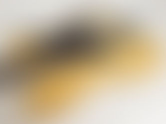 Fender Precision Bass Slab 1967