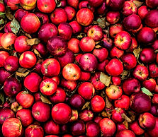 Pile of Apples_edited_edited.jpg