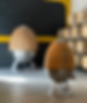 IMG_7006.png