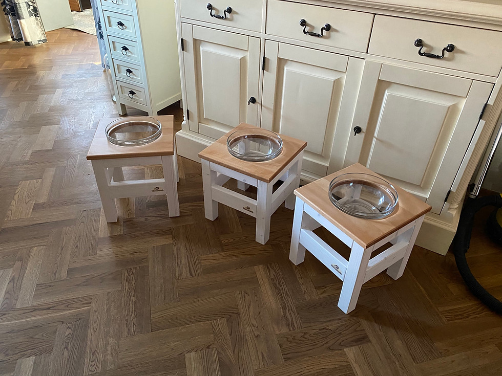 Miniaturbild: Hundebar Einzel