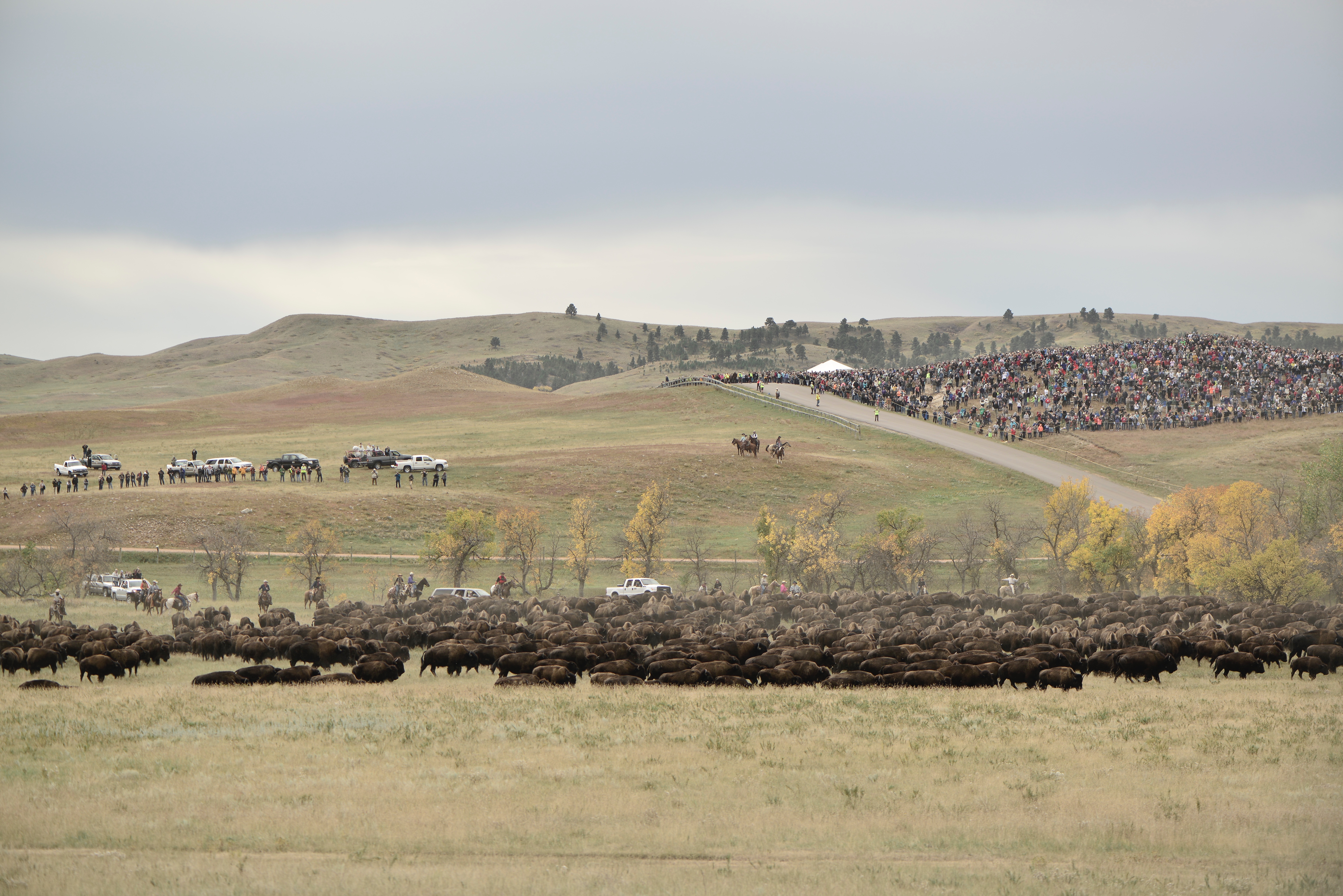 Custer, South Dakota