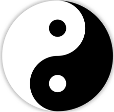 LA VIE EST UN JEU D'ÉQUILIBRE