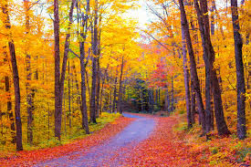 Fall colours2.jpg