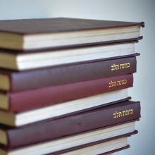 Was the Word in the Beginning? On the Relationship between Language and Concepts