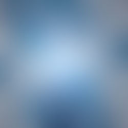 Fragile Finitude: A Forum