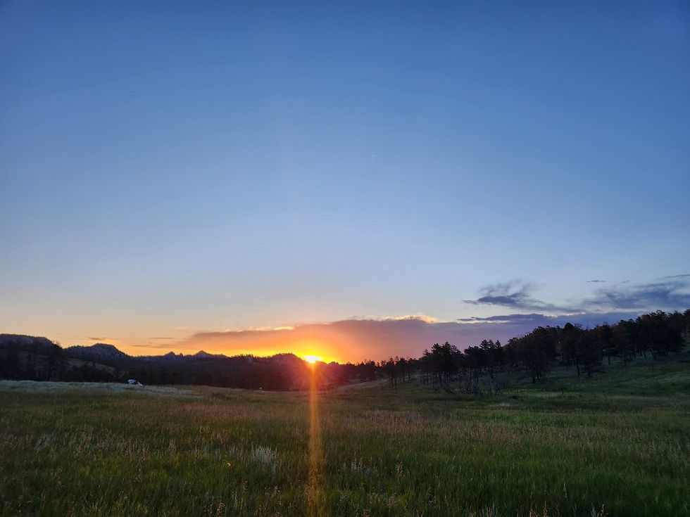 Stubbornheart and thyroid.