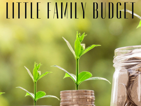 Big Family Budget Little Family Budget