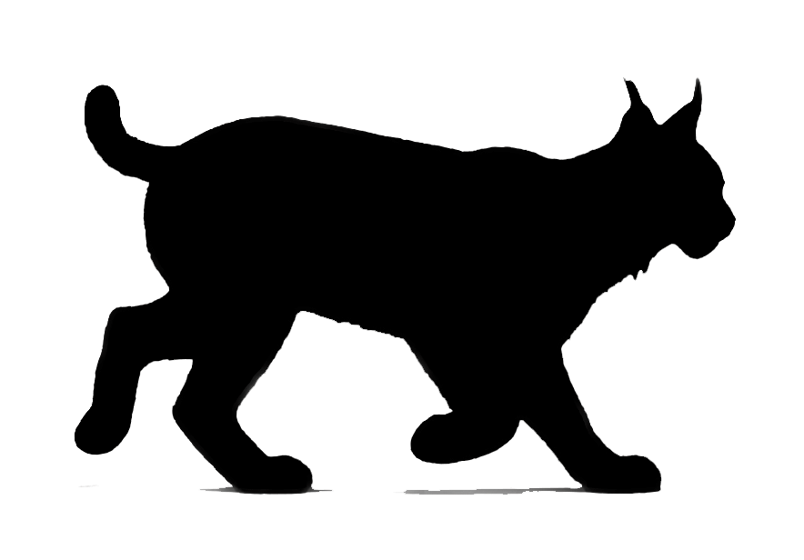 Lince-animation---black-gif.gif