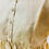 Thumbnail: A close-up view of a beige pure linen dress displayed on a black mannequin. The dress features a round neckline, a front button placket with small wooden buttons, and soft gathers at the waistline creating a flowy, comfortable silhouette. The natural texture of the linen fabric is clearly visible, giving it a light, breathable, and artisanal appeal.