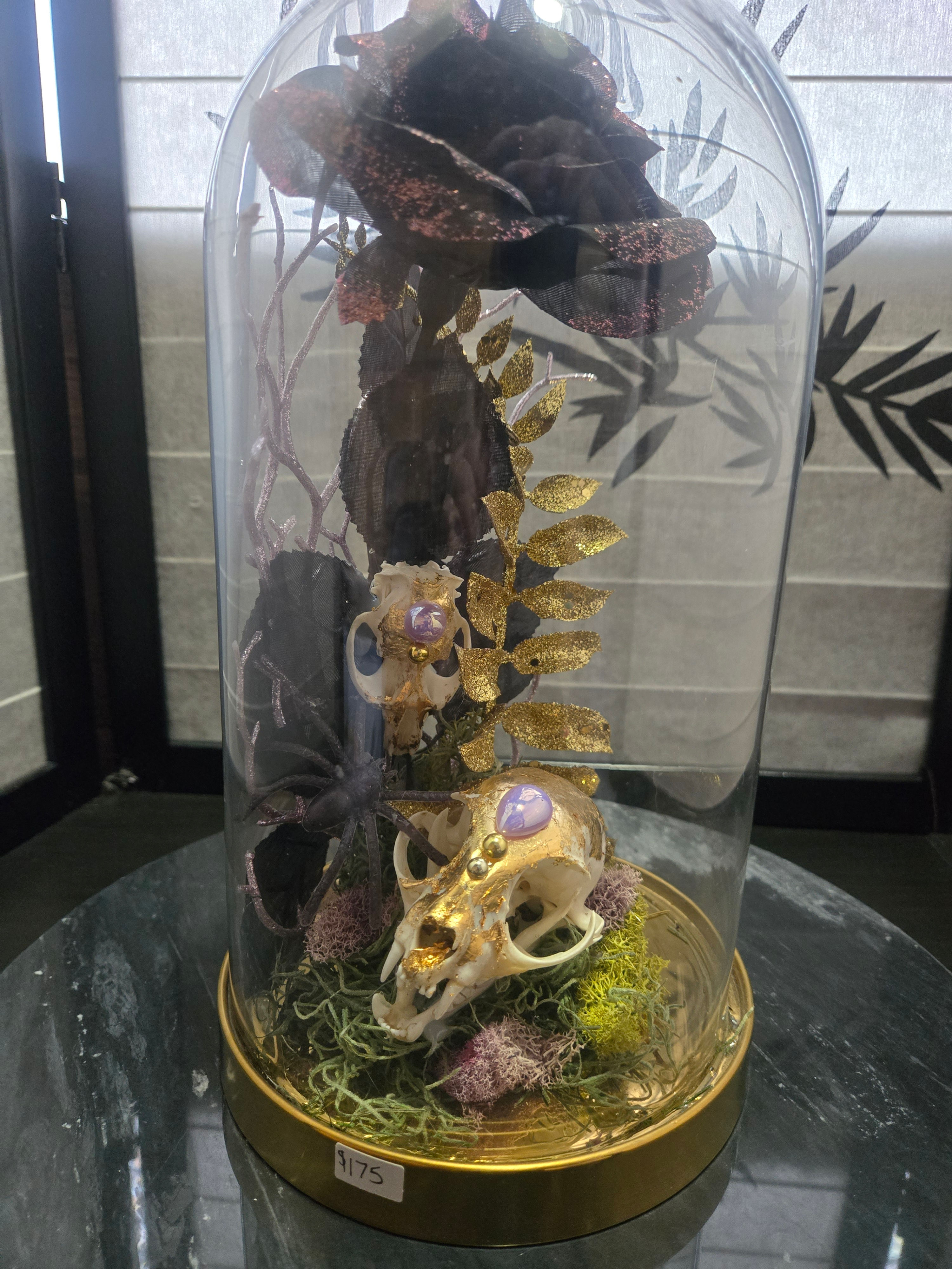 Cat and Muskrat Skull Cloche