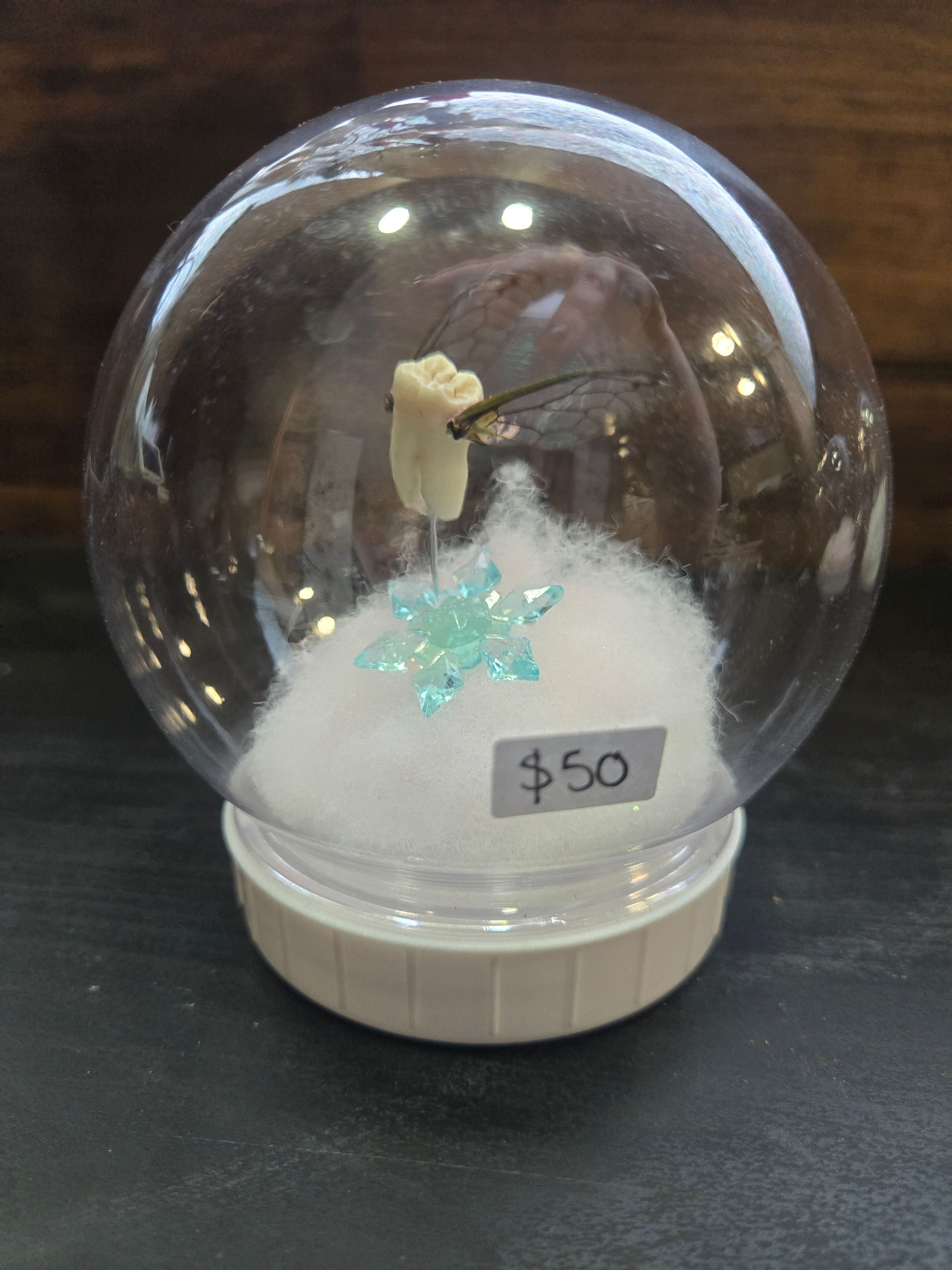 Tooth Fairy-Winter Wonderland