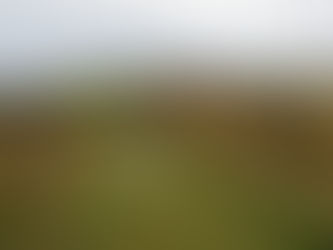 Så bakade man längst kusten i Norge för etthundra år sedan